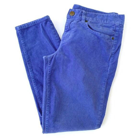 J.Crew Womens Toothpick Corduroy Skinny Ankle Pants Size 29 Blue Stretch Fall - Picture 1 of 12